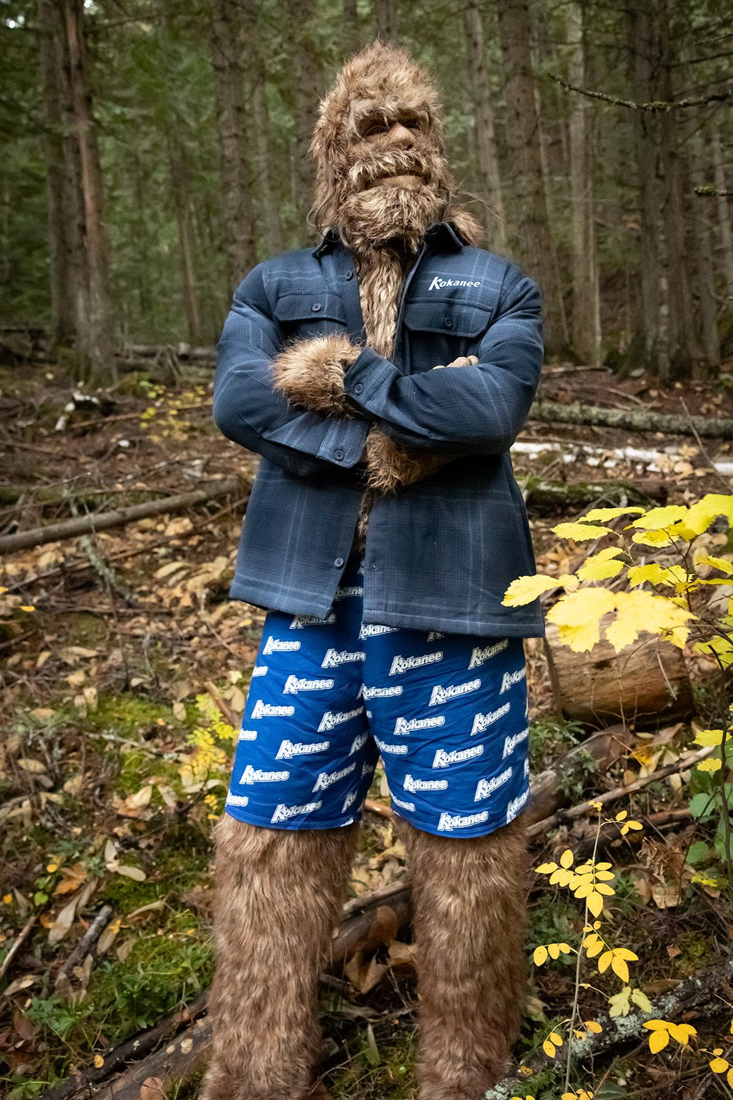 Kokanee Stormtech Highland Shacket Mens