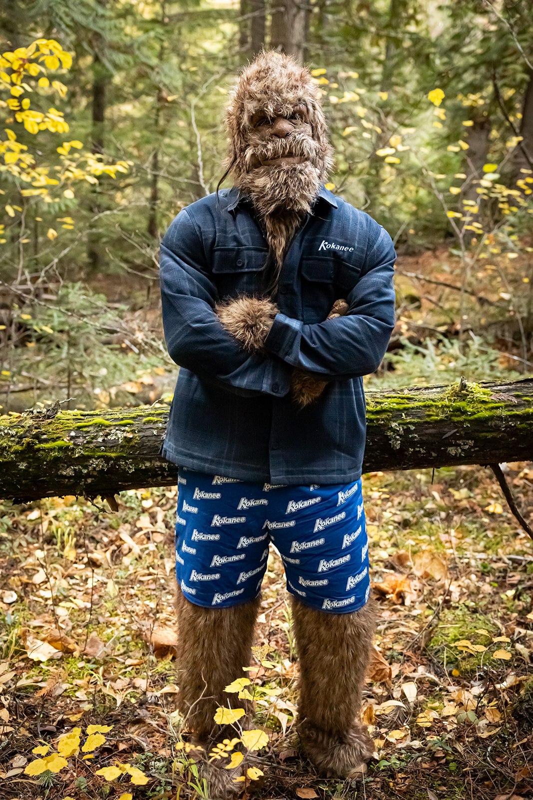 Kokanee Stormtech Highland Shacket Mens