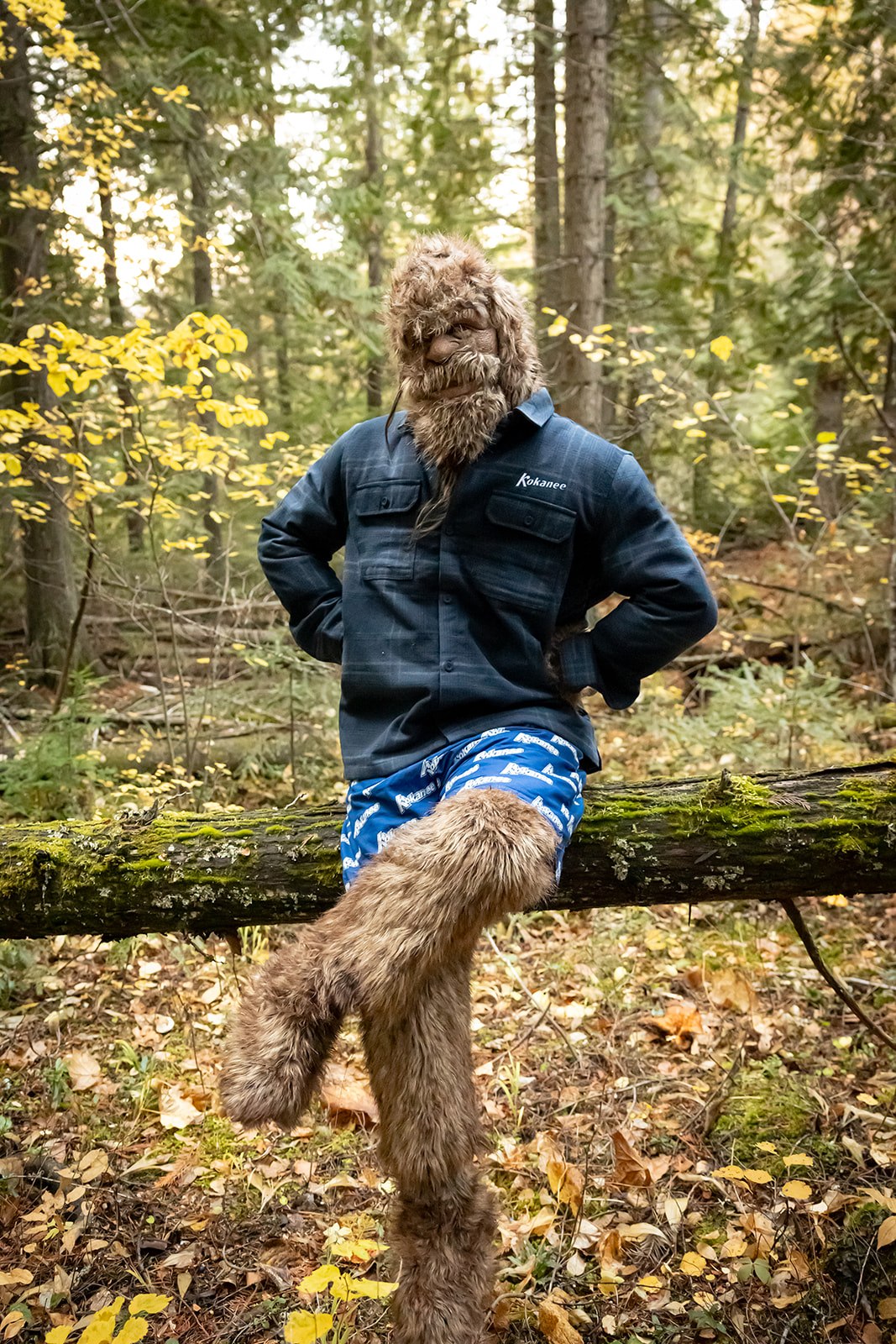 Kokanee Stormtech Highland Shacket Mens